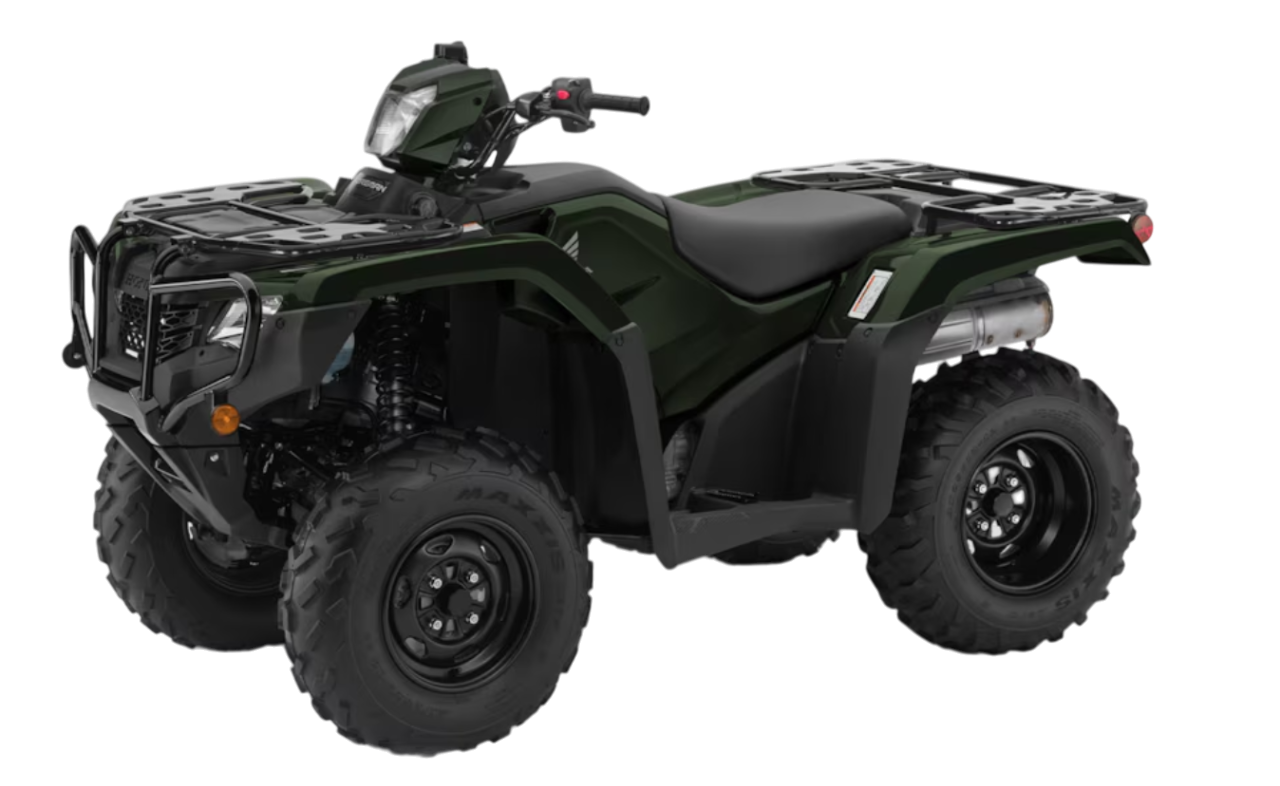 Model Image