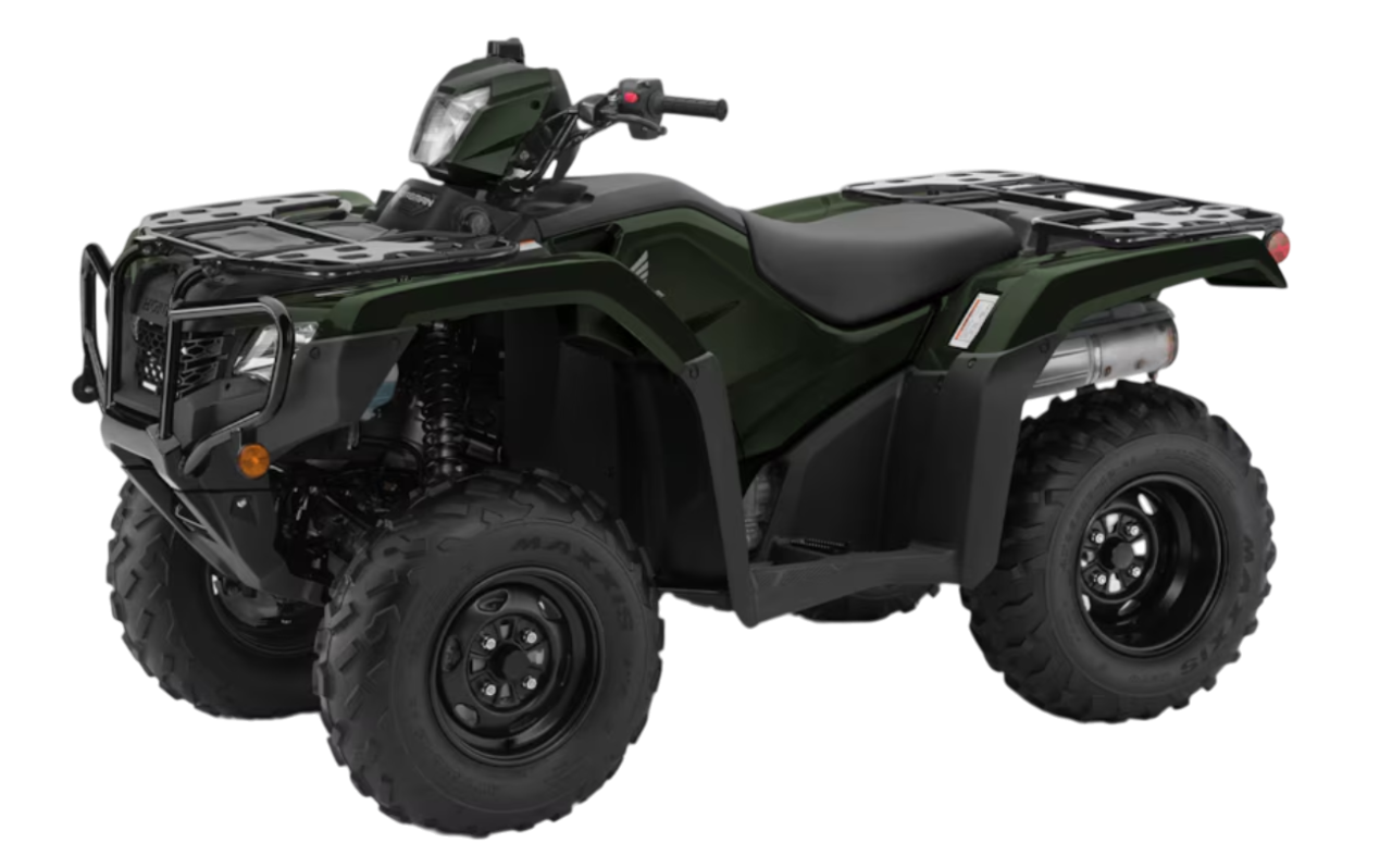 Model Image