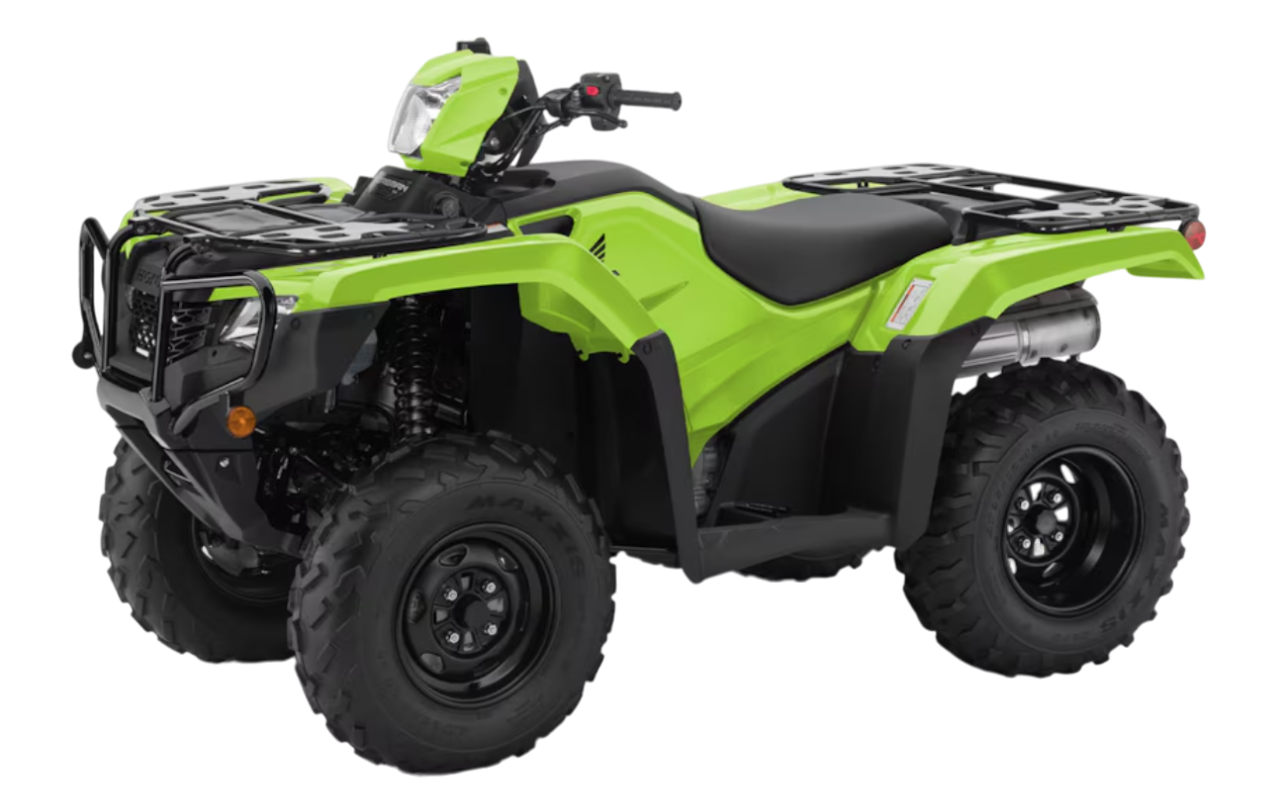 Model Image