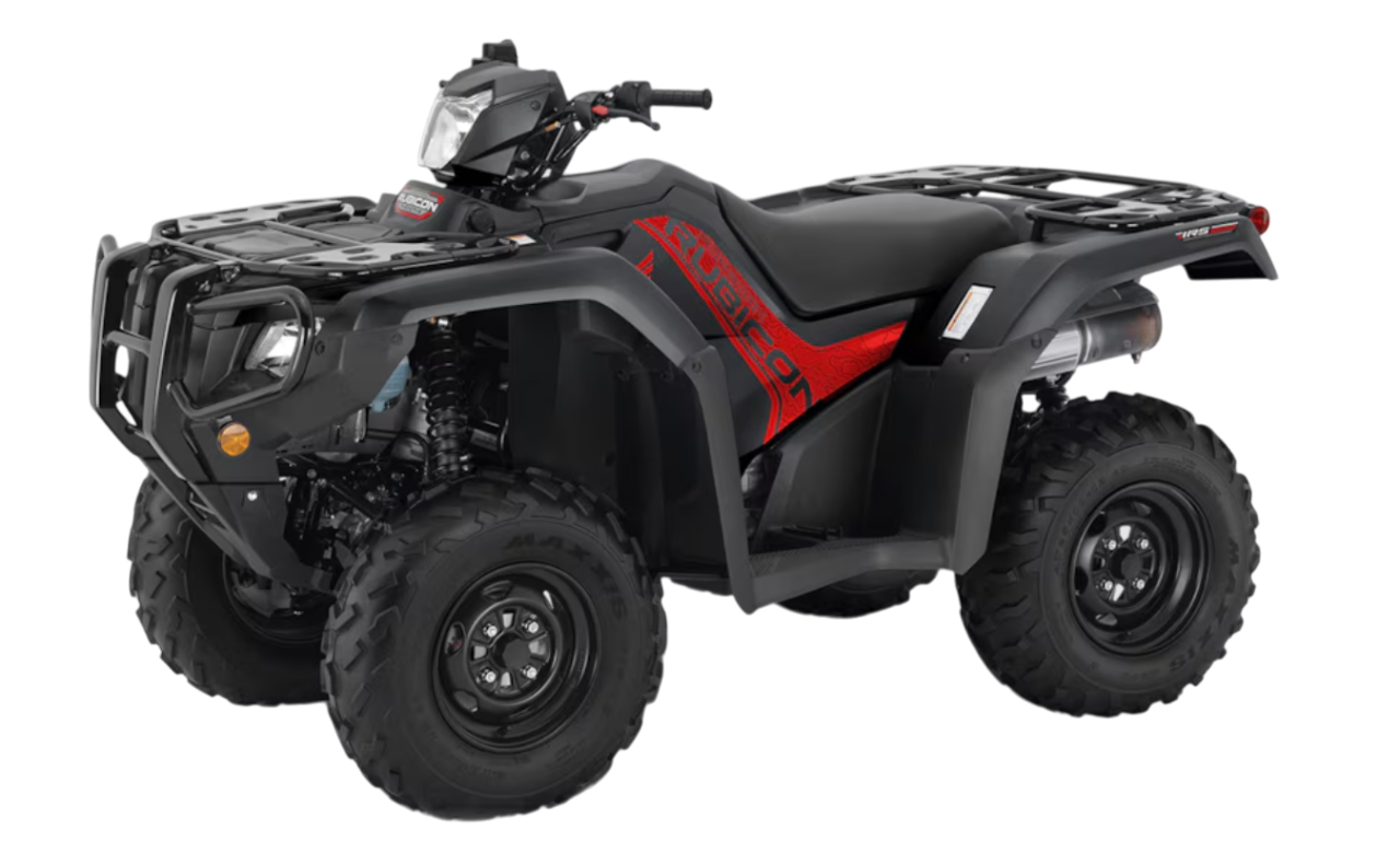 Model Image