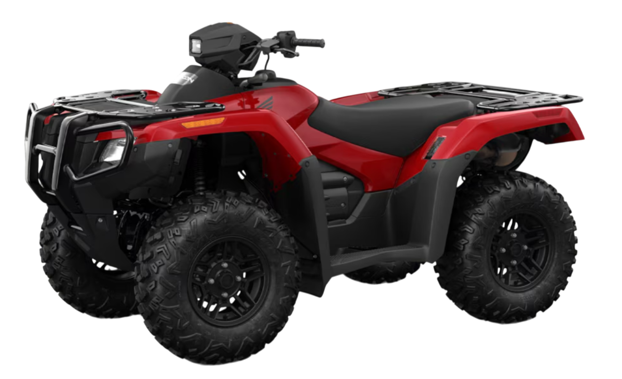 Model Image