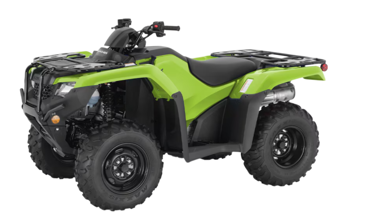 Model Image