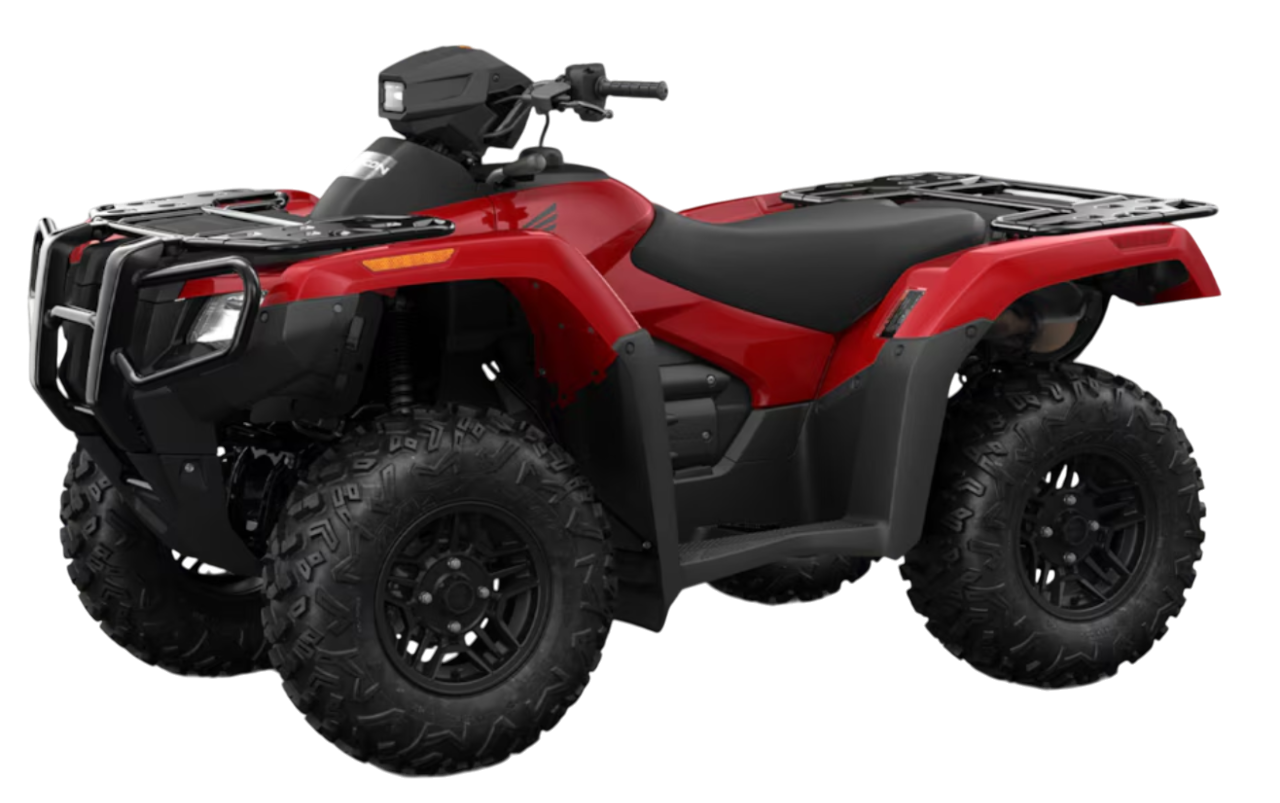 Model Image