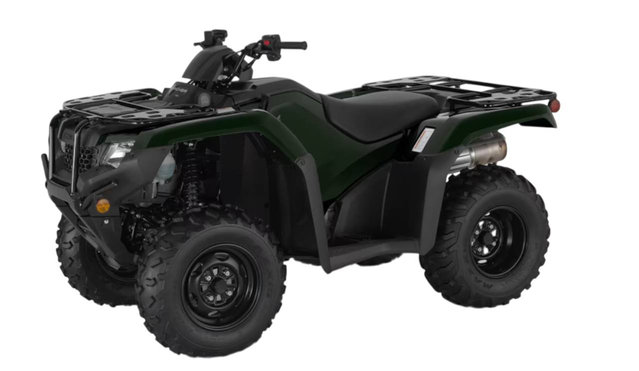 Model Image