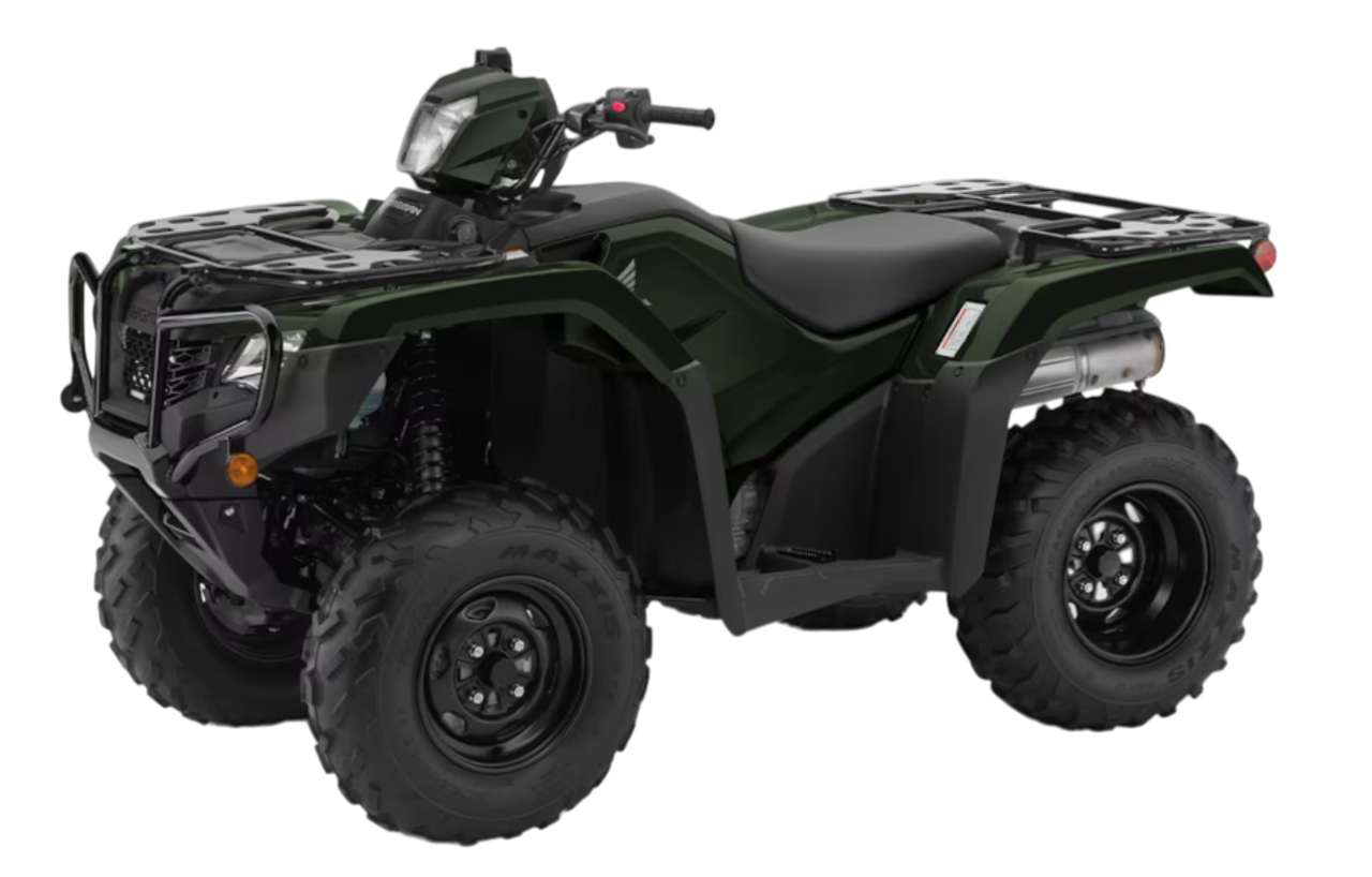 Model Image