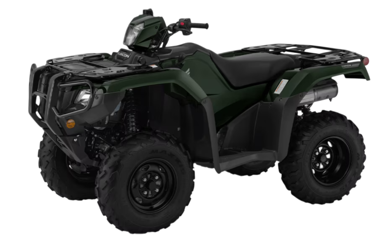 Model Image