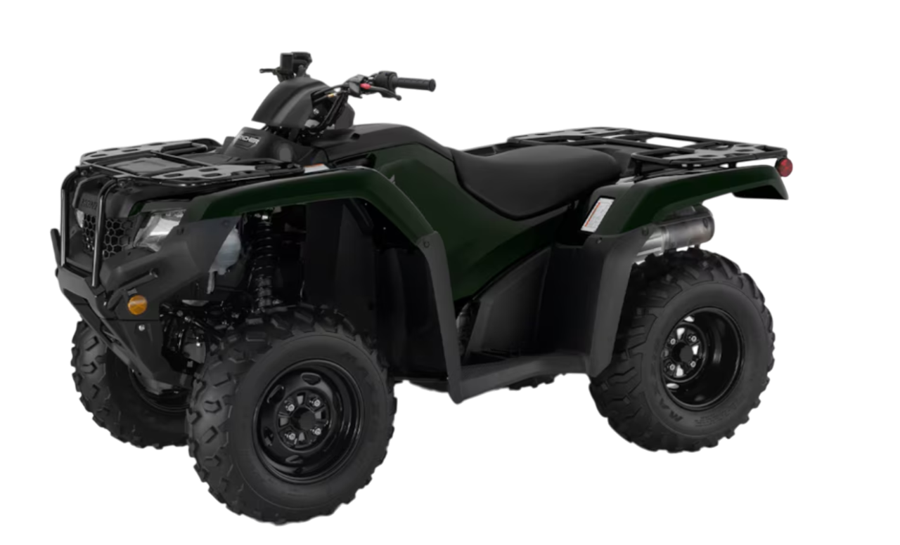 Model Image