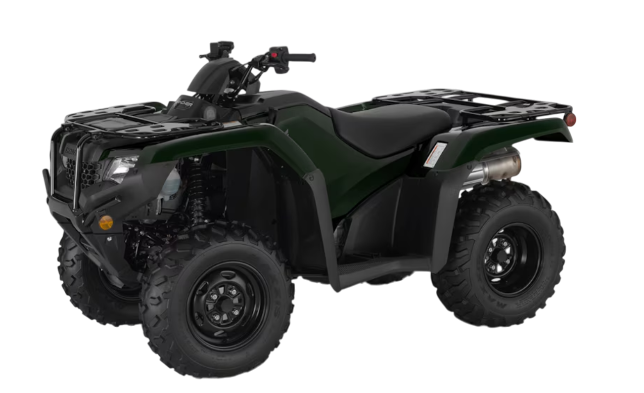 Model Image