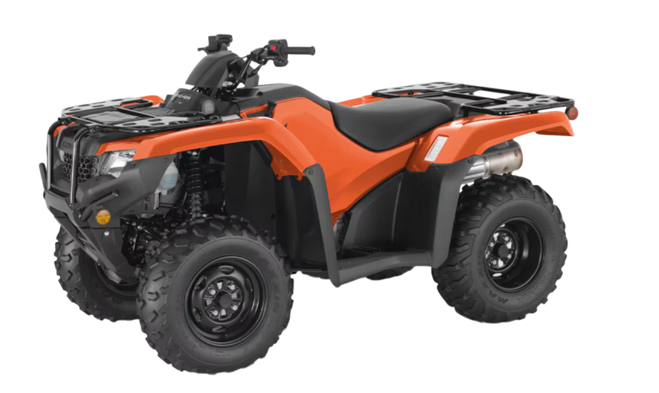 Model Image