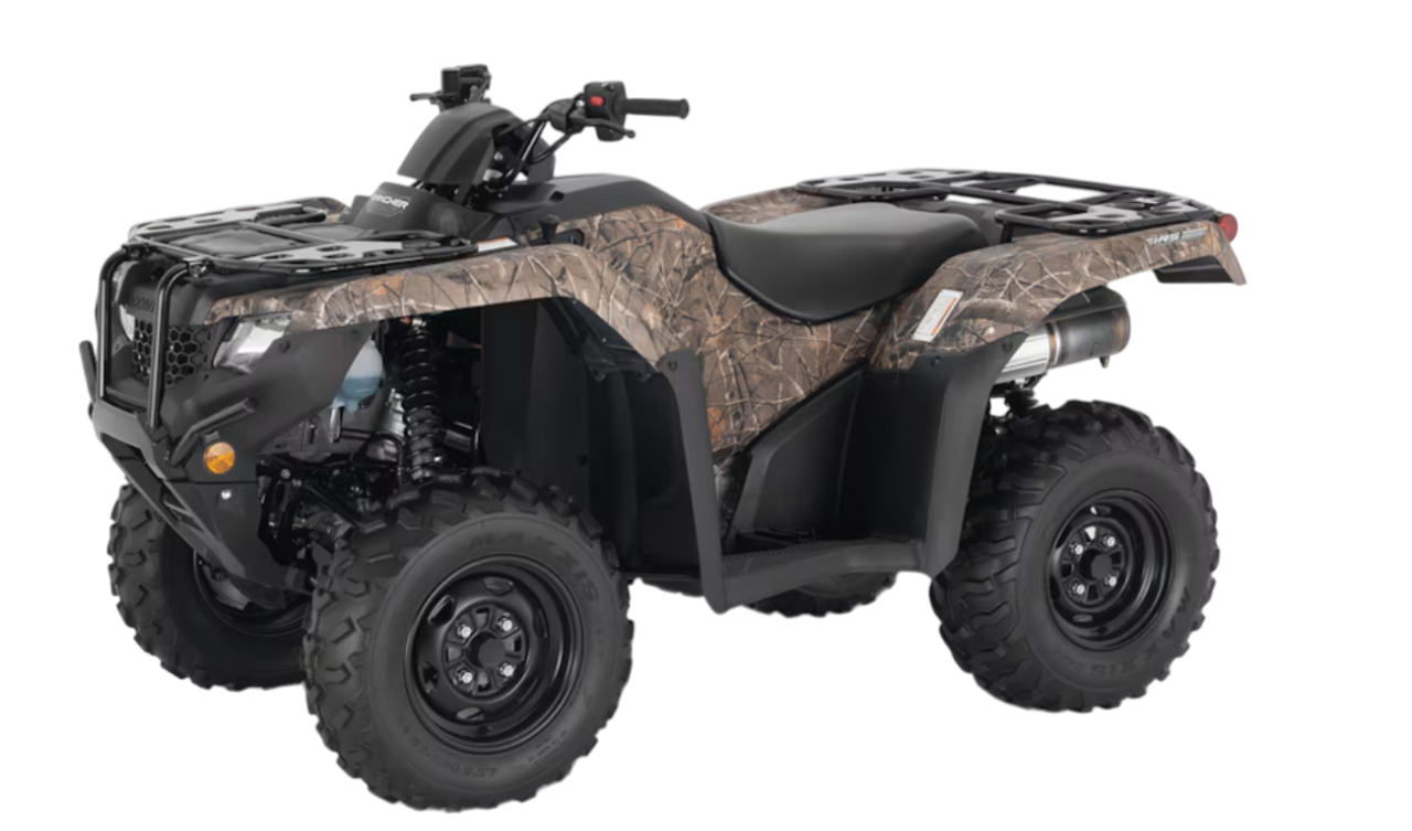 Model Image