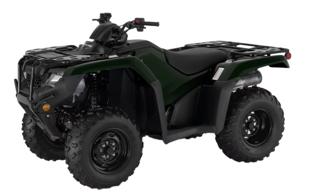 Model Image