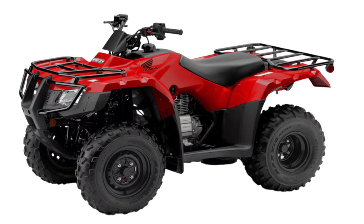 Model Image