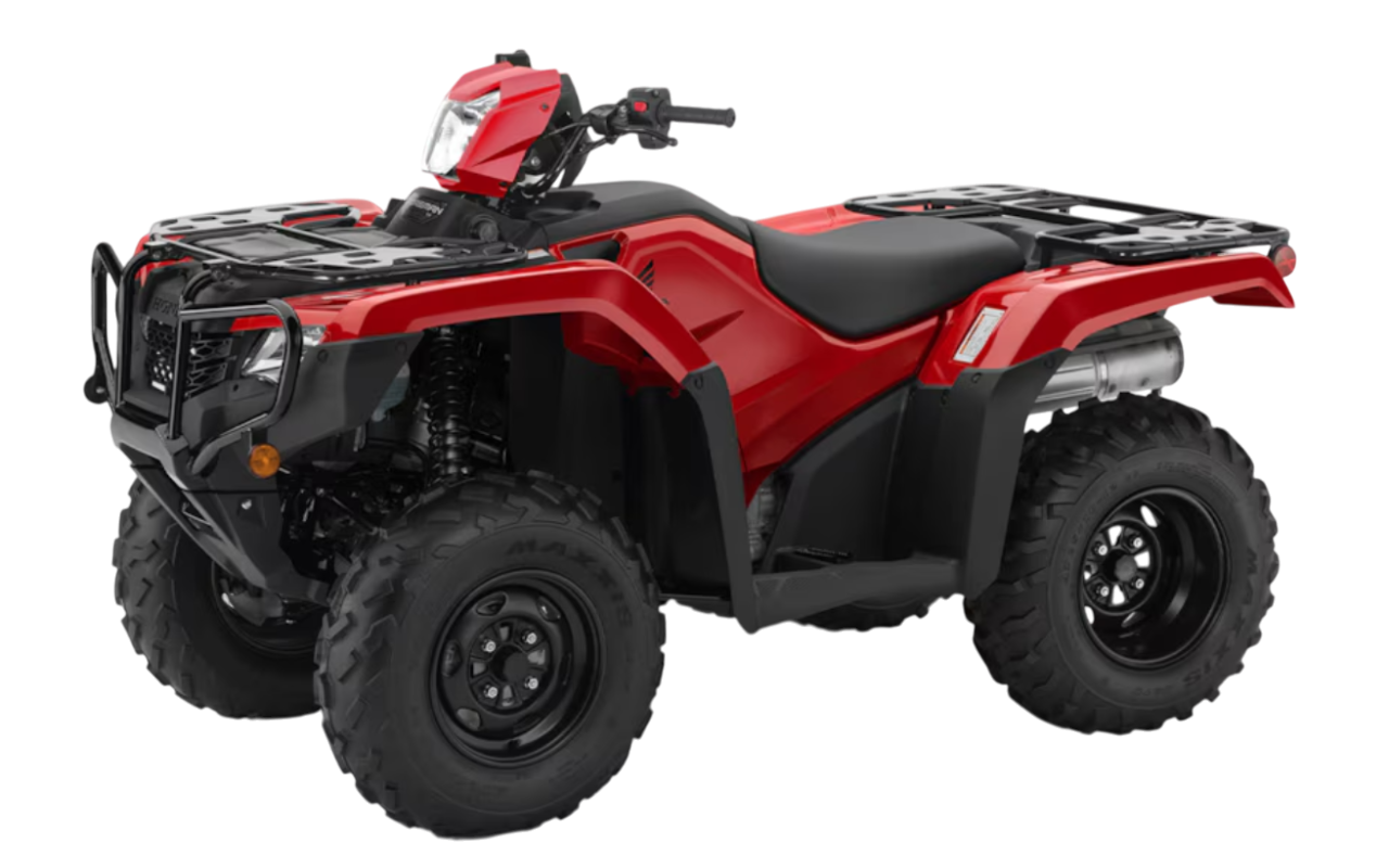 Model Image