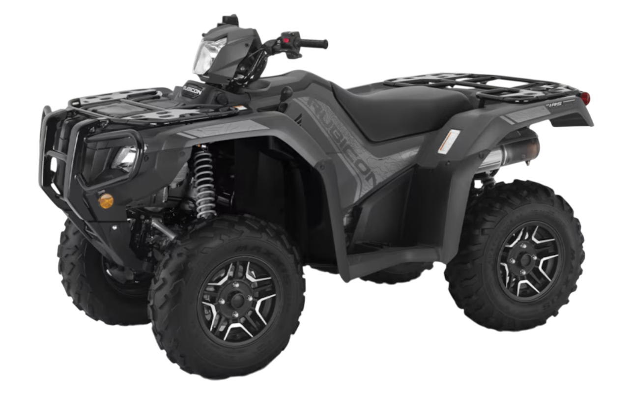 Model Image