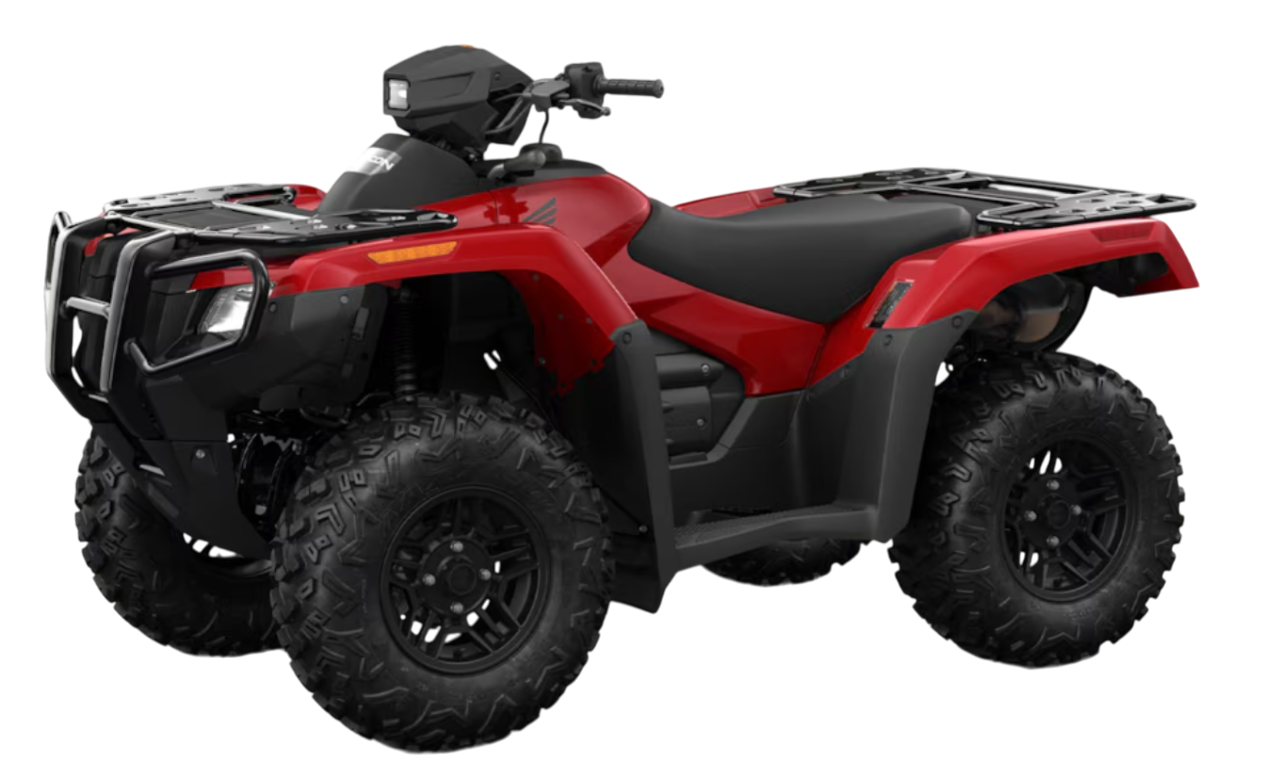 Model Image