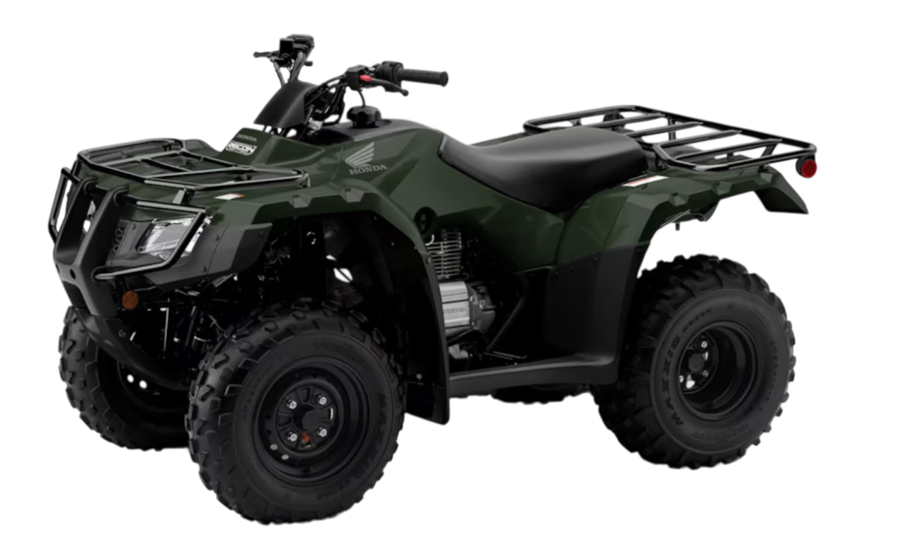 Model Image