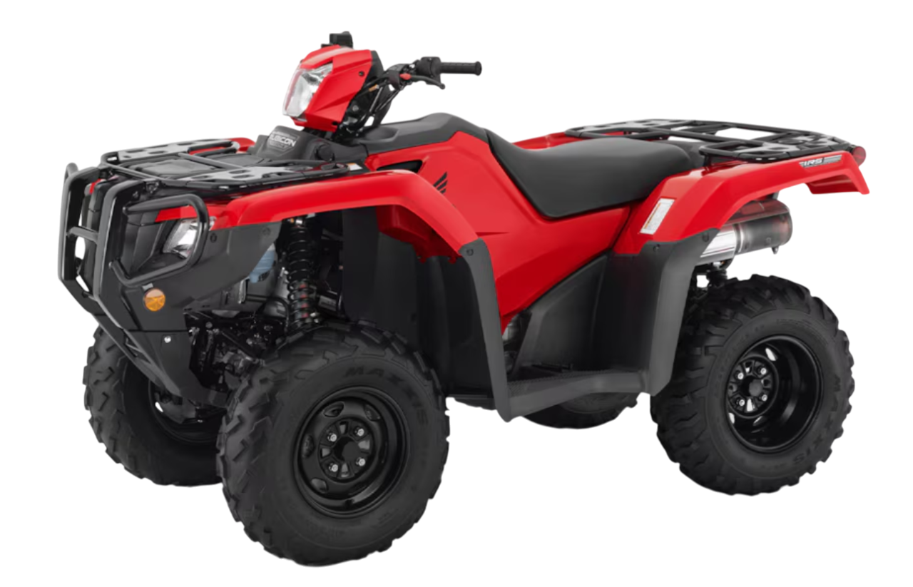 Model Image