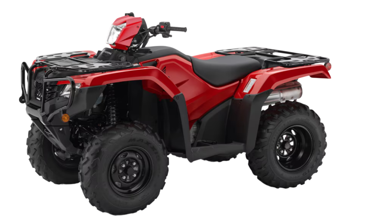 Model Image