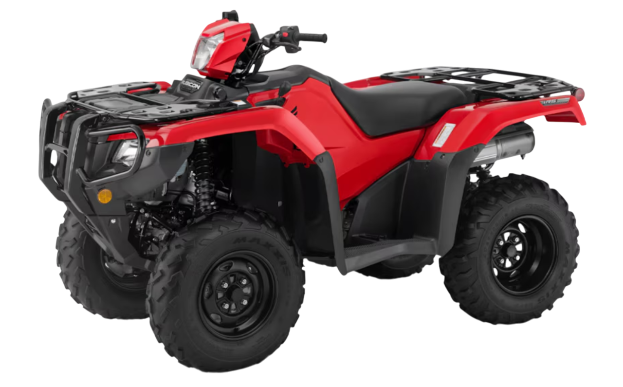 Model Image