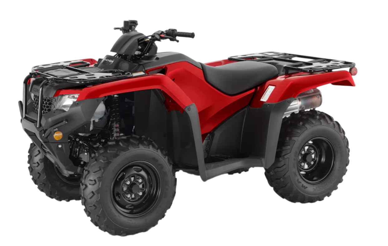 Model Image