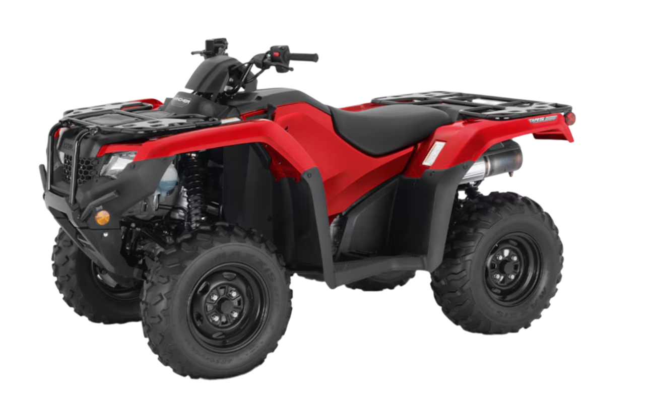 Model Image