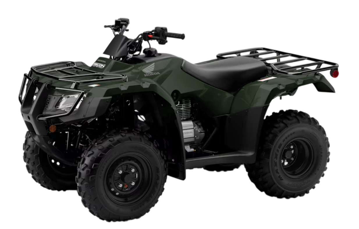 Model Image