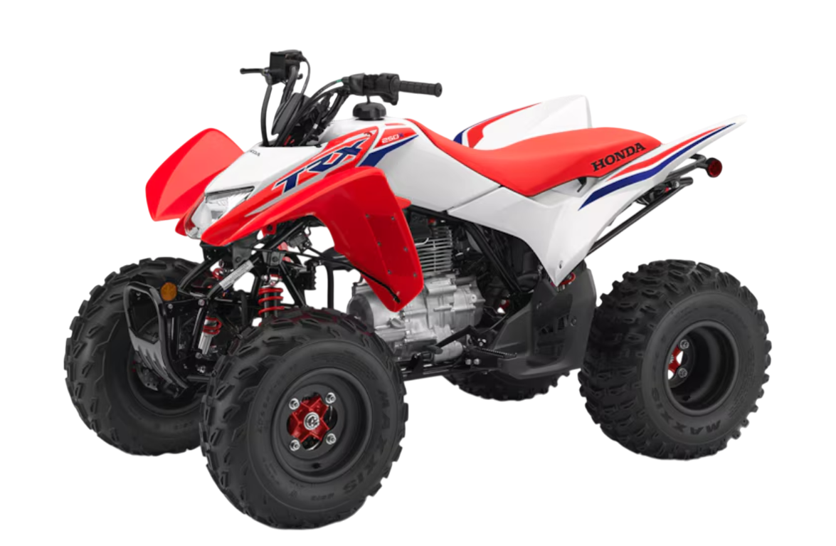 Model Image