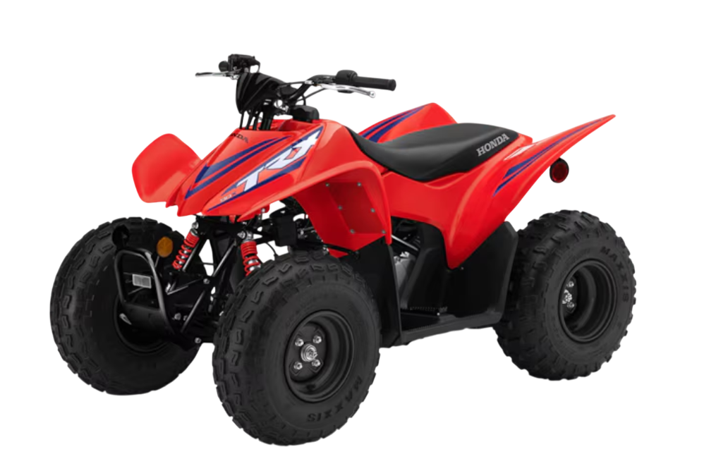 Model Image