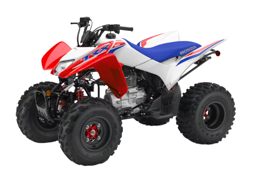 Model Image