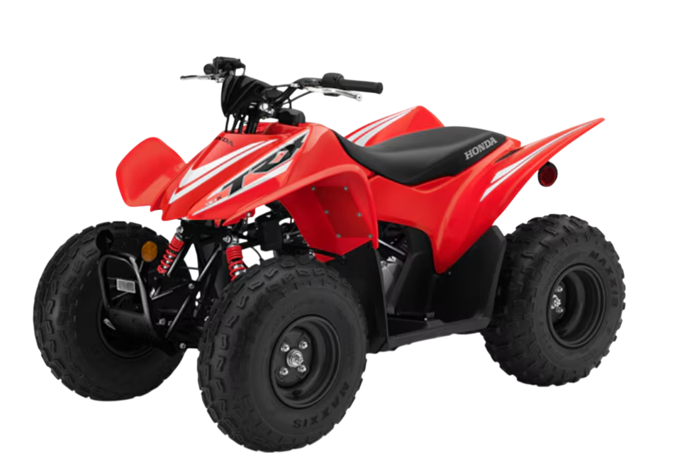 Model Image