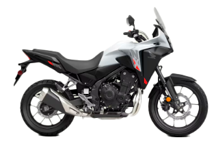 Model Image
