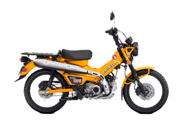 Model Image