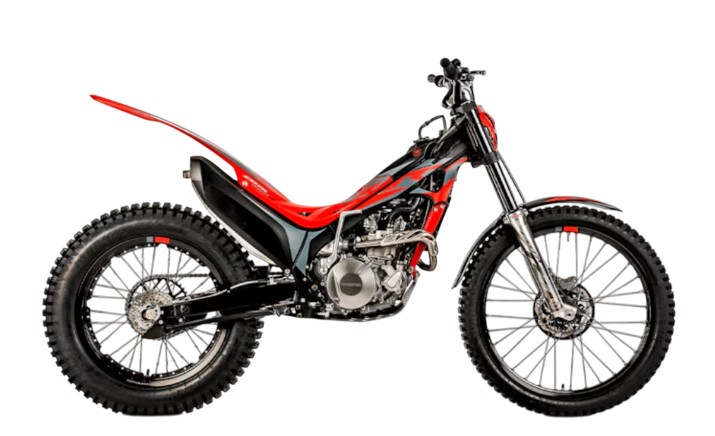 Model Image
