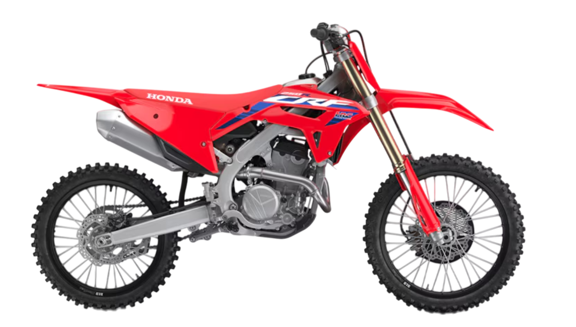 Model Image