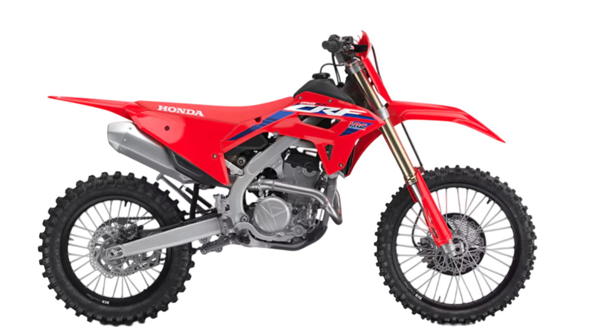 Model Image