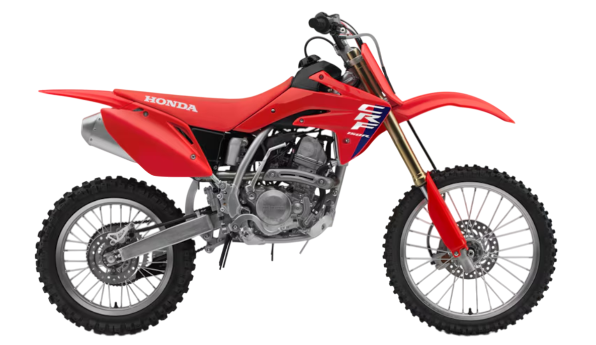 Model Image