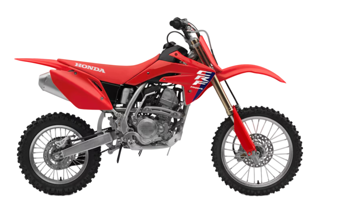 Model Image