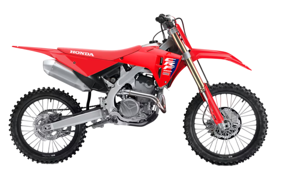 Model Image