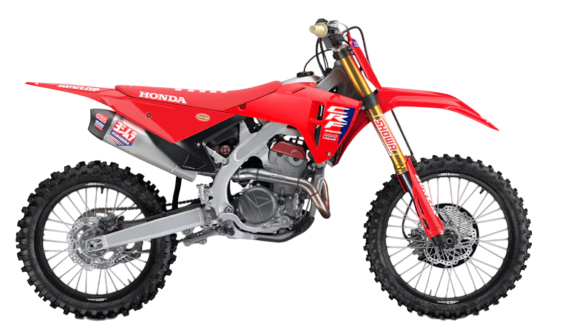 Model Image