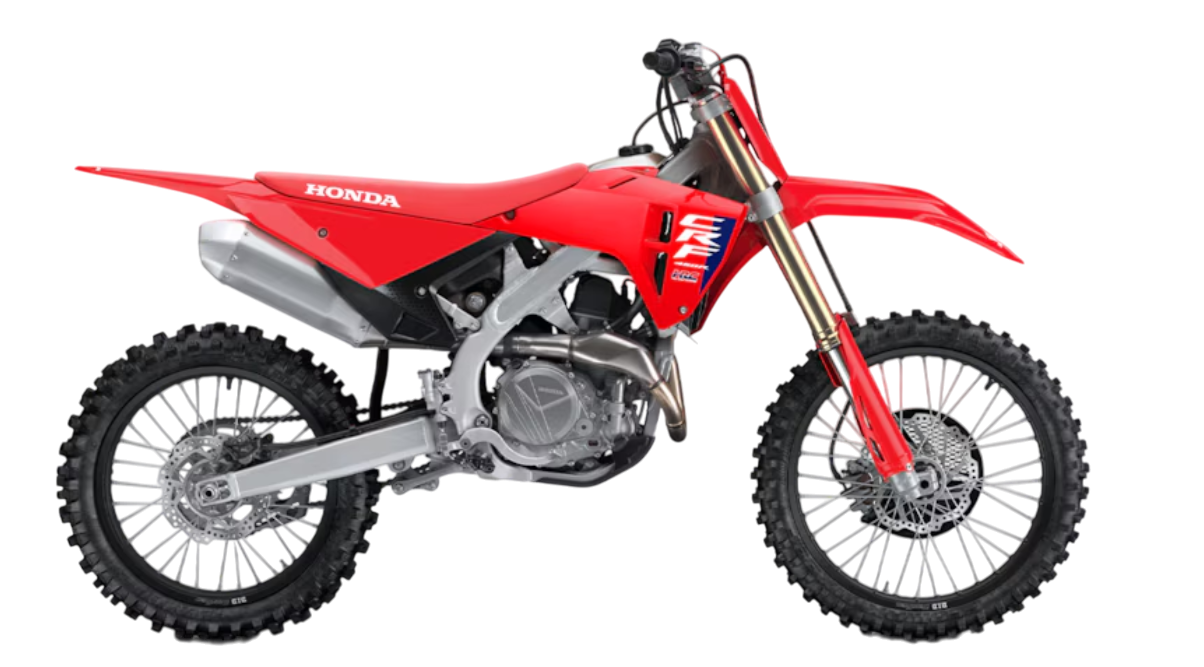 Model Image