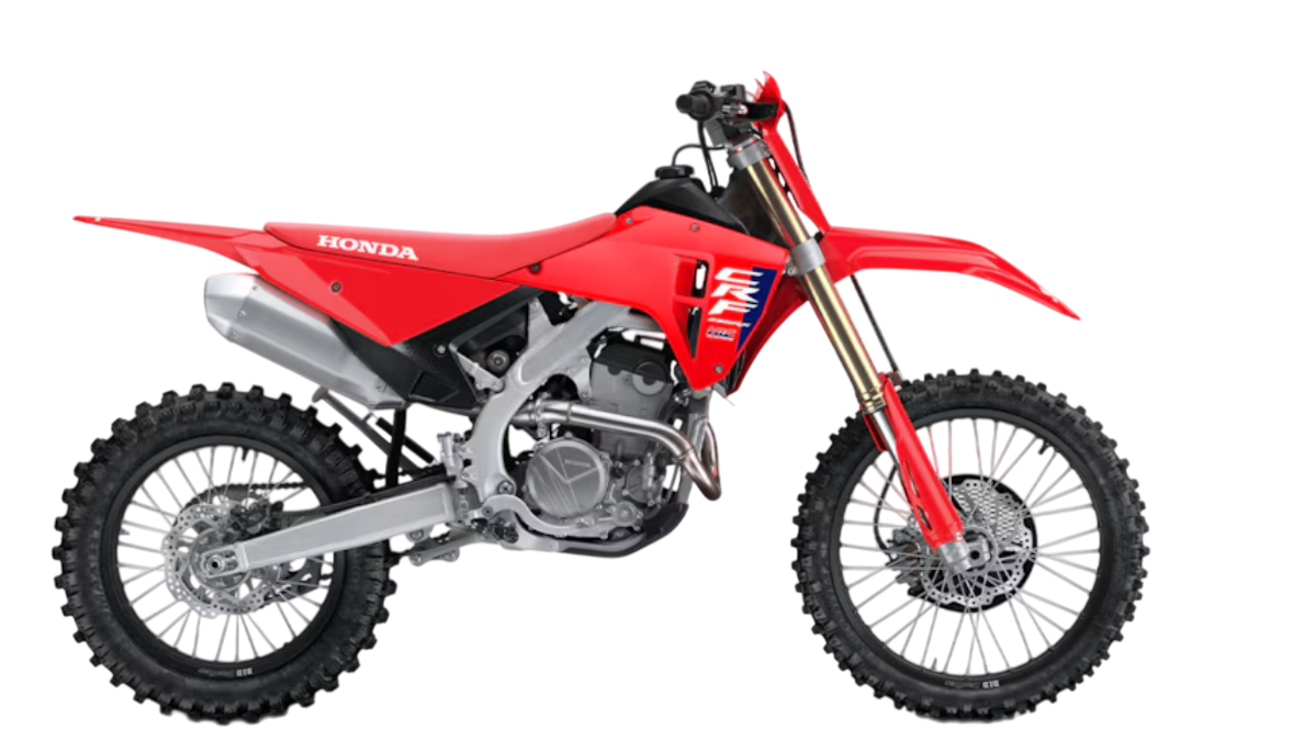 Model Image