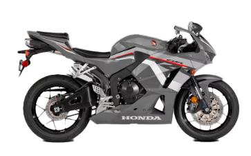 Model Image